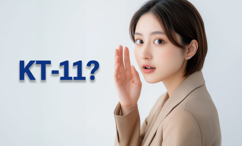 KT-11ってなに？
