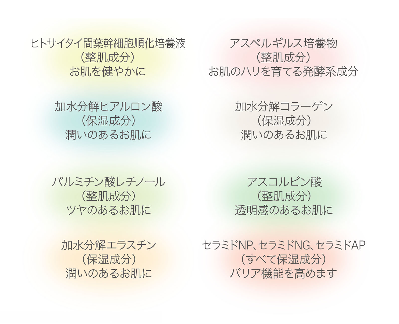 ヒトサイタイ間葉幹細胞順化培養液 (整肌成分)お肌を健やかに 加水分解ヒアルロン酸(保湿成分) 潤いのあるお肌に。 アスペルギルス培養物(贅肌成分) お肌のハリを育てる発酵系成分。 加水分解コラーゲン(保湿成分) 潤いのあるお肌に。 パルミチン酸レチノール(整肌成分) ツヤのあるお肌に。 加水分解エラスチン(保湿成分) 潤いのあるお肌に。 アスコルビン酸(贅肌成分) 透明感のあるお肌に。 セラミドNP、セラミドNG、セラミドAP (すべて保湿成分) バリア機能を高めます。